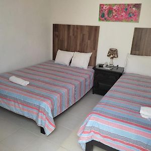 Habitación Económica con 2 Camas Individuales